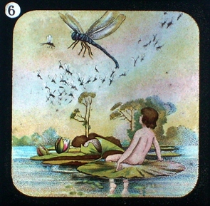 THE WATER-BABIES - magic lantern slide